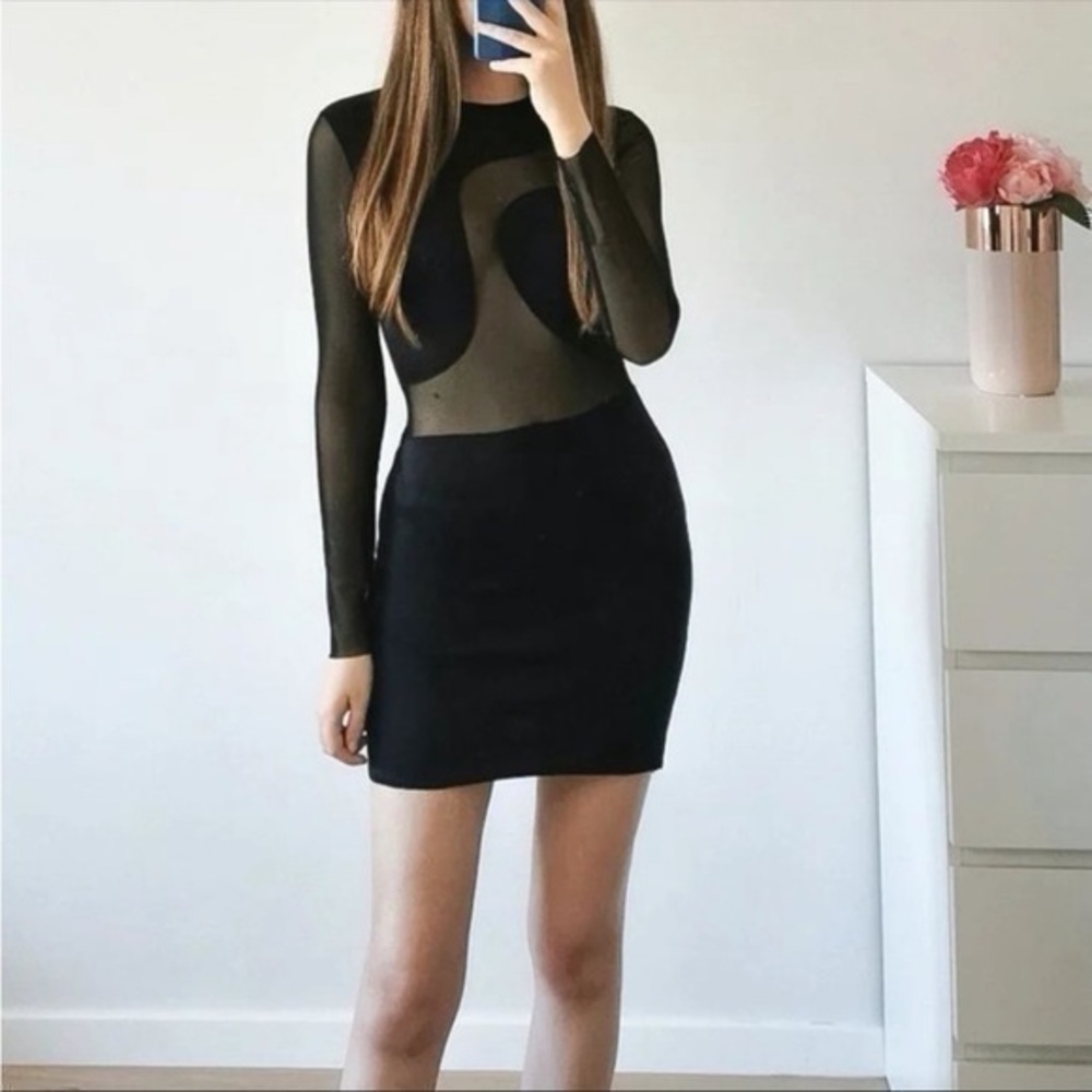 Zara Sheer Black Long Sleeve Dress